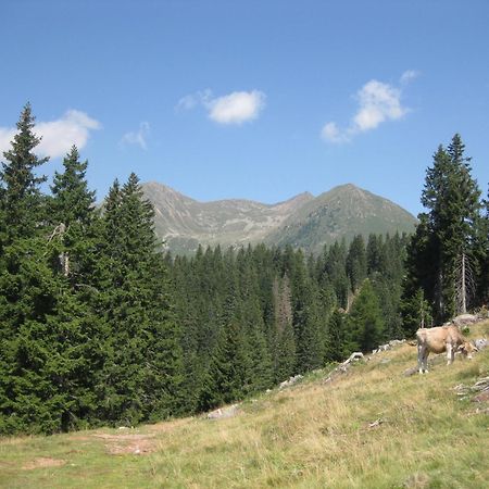 Fewo Windbichl Parcines Exterior photo